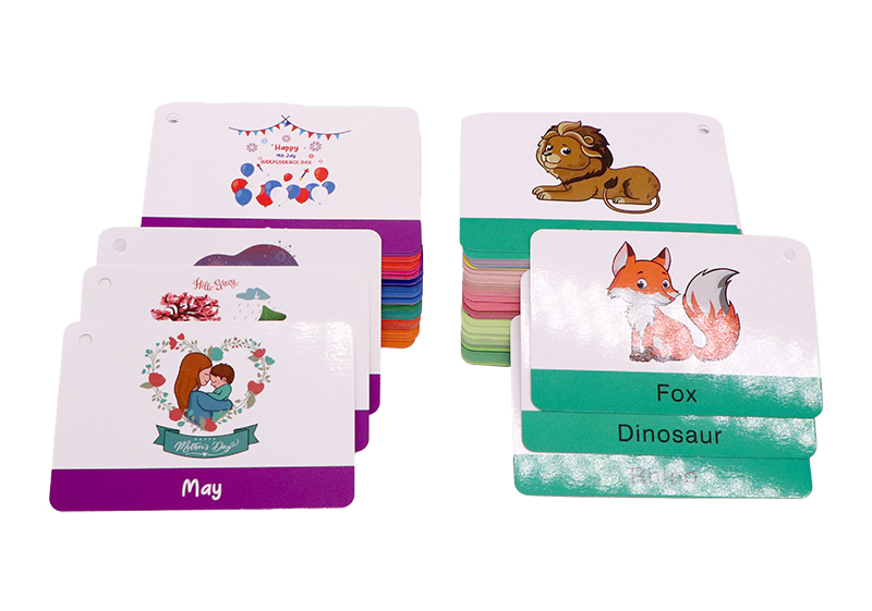 flash cards accessory